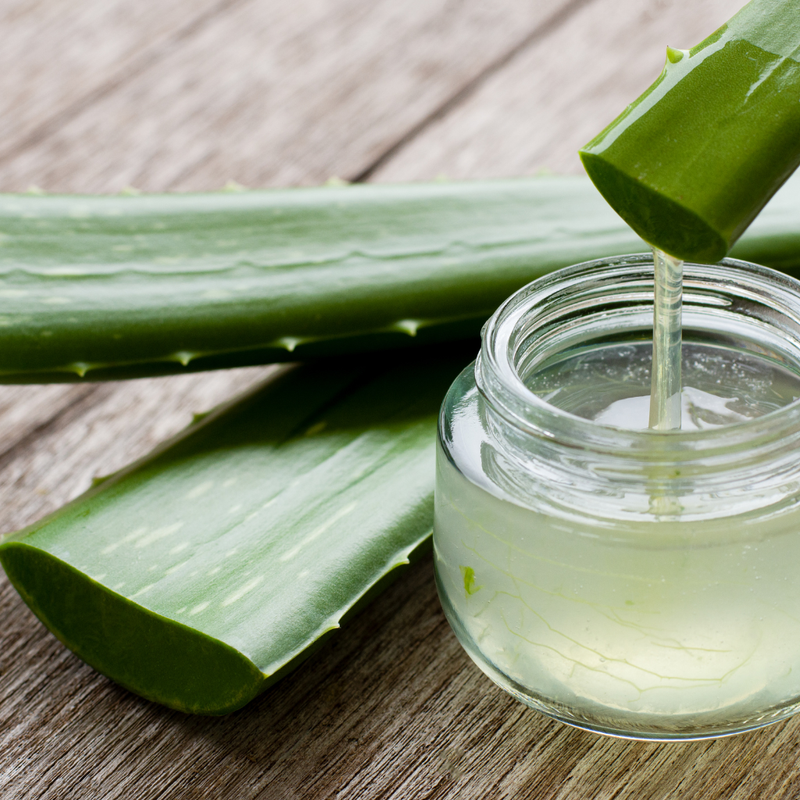 Aloe Vera and Coconut Oil Hair Treatment