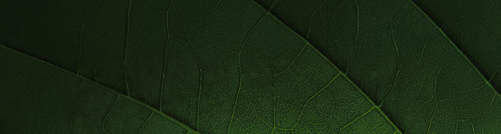 Background with content image
