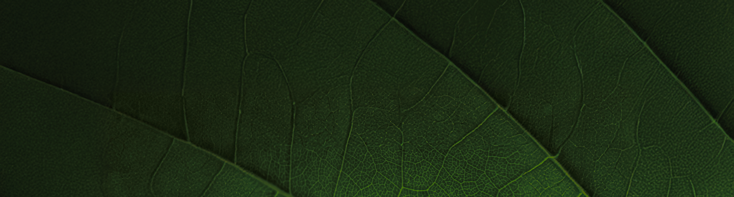 HDL Story Background