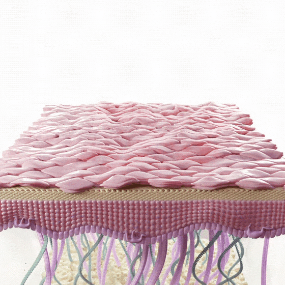 Image With content Image