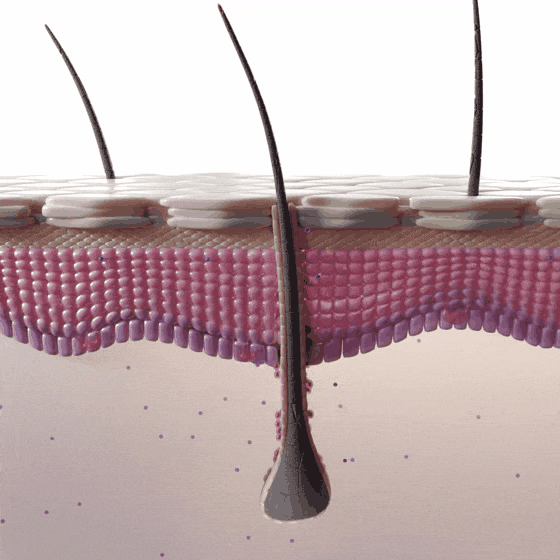 Image With content Image