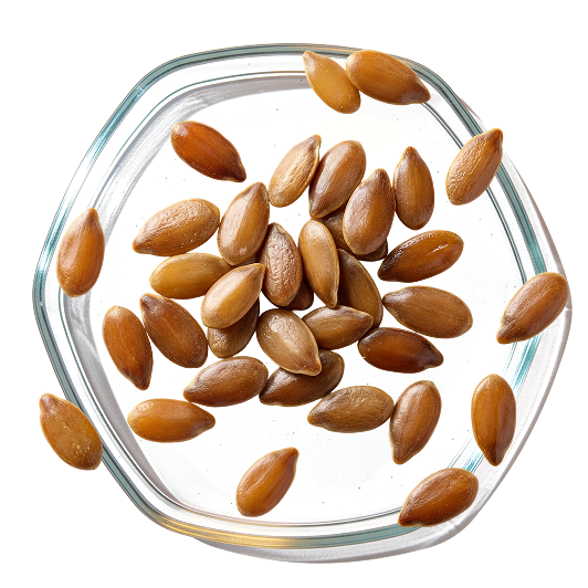 Flaxseed