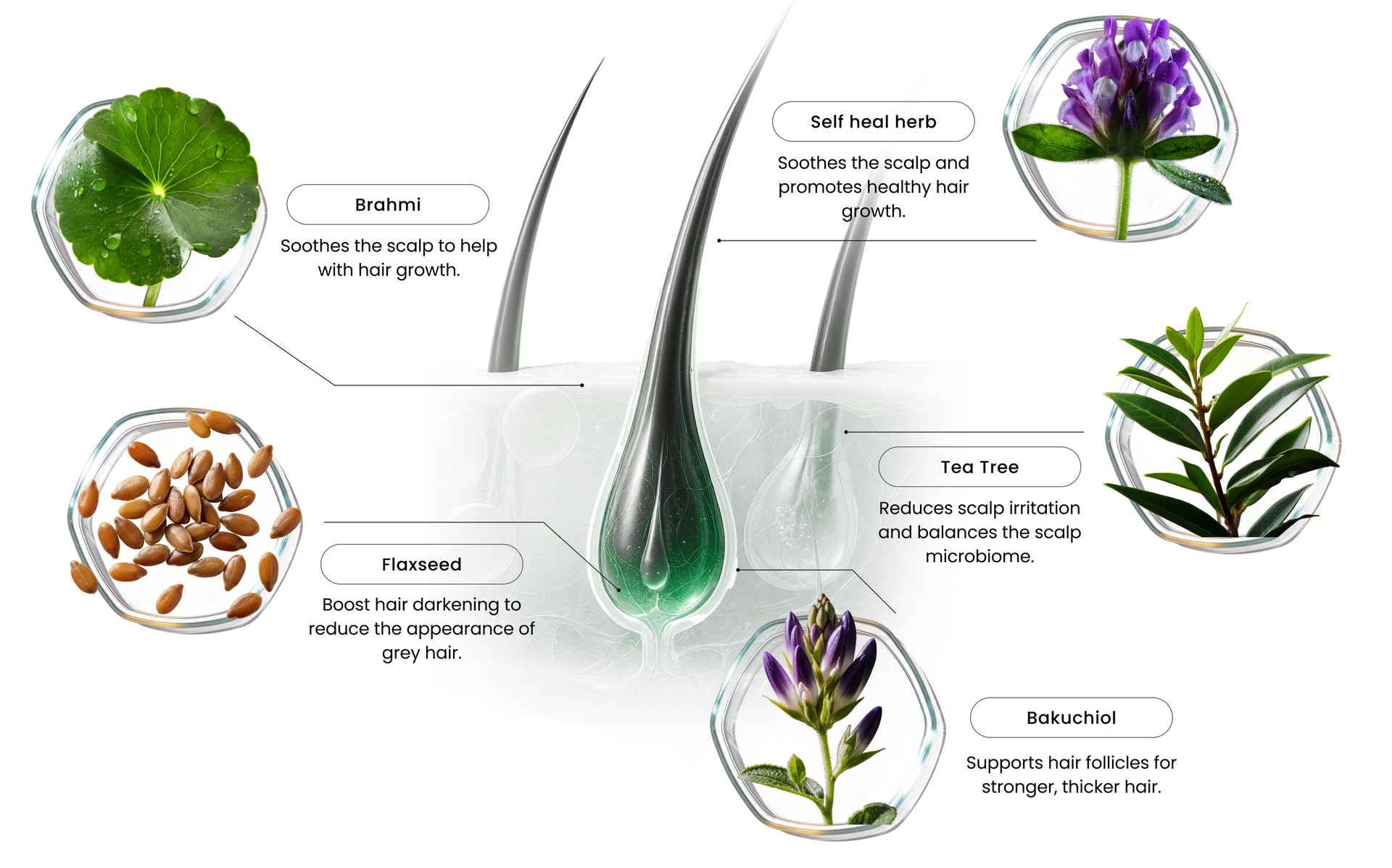 Ingredients Image