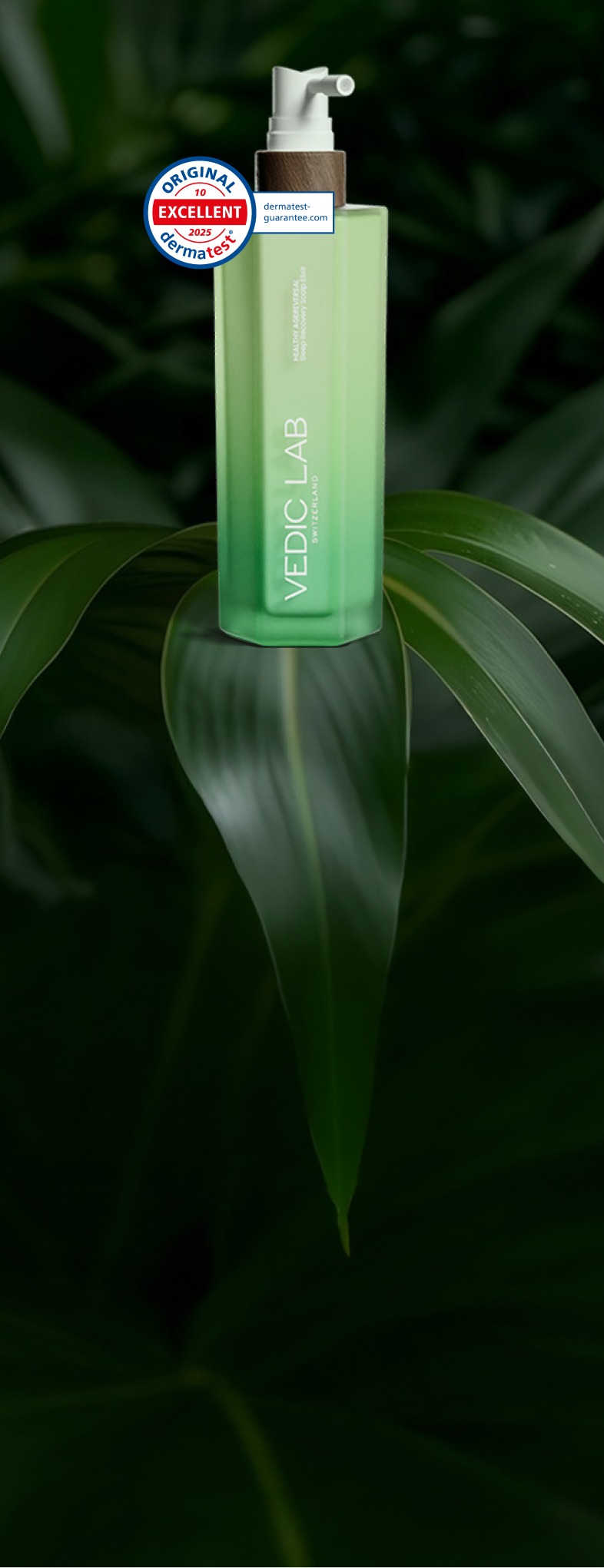 Banner Mobile