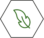 Second Banner Image