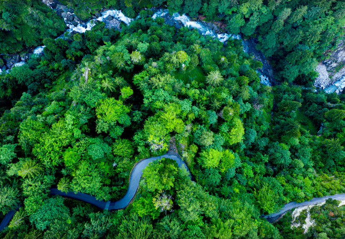 Image With content Image