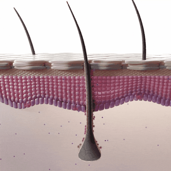 Image With content Image