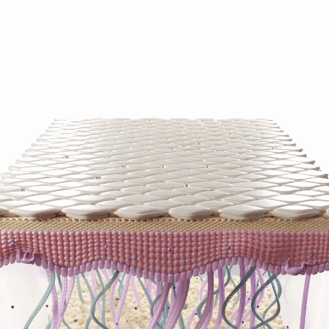 Image With content Image