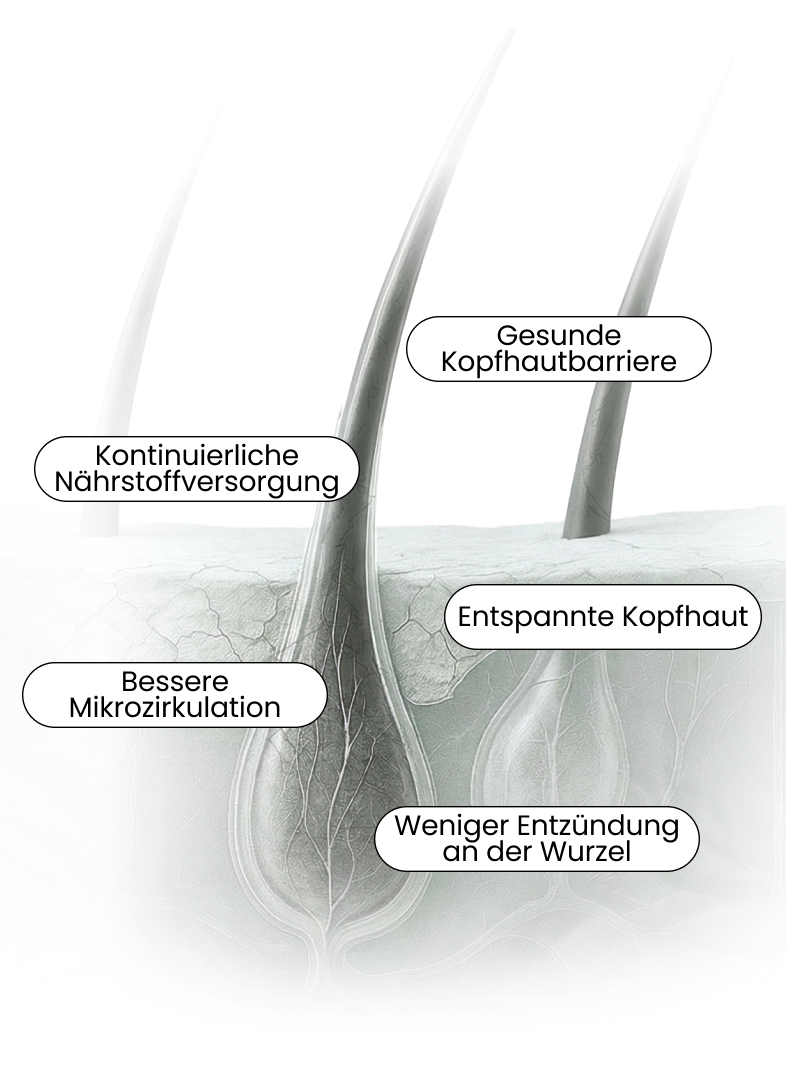 <p>Haarwachstum braucht ganzheitliche <br/>Pflege an der Wurzel.</p>