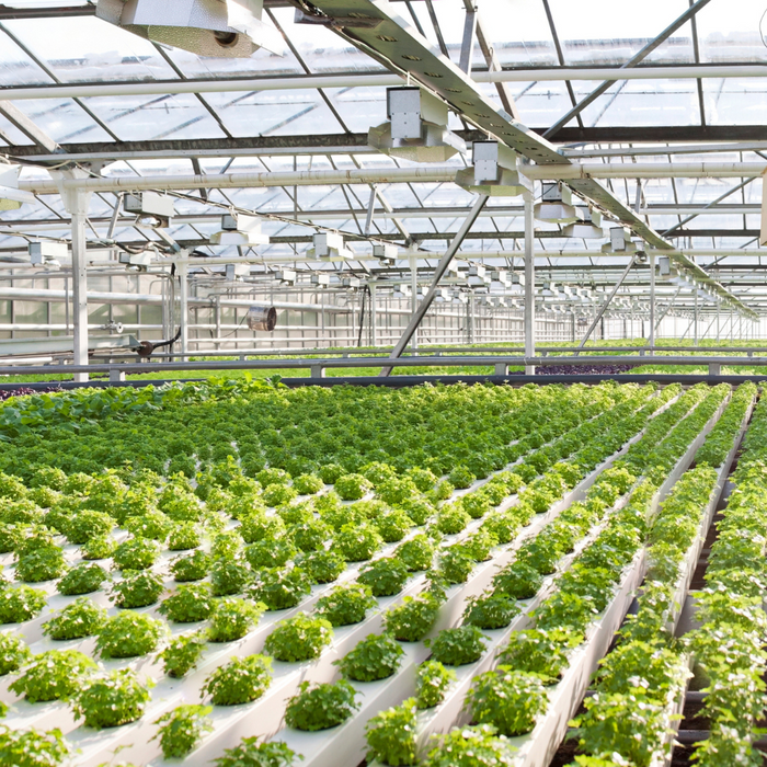 Image With content Image