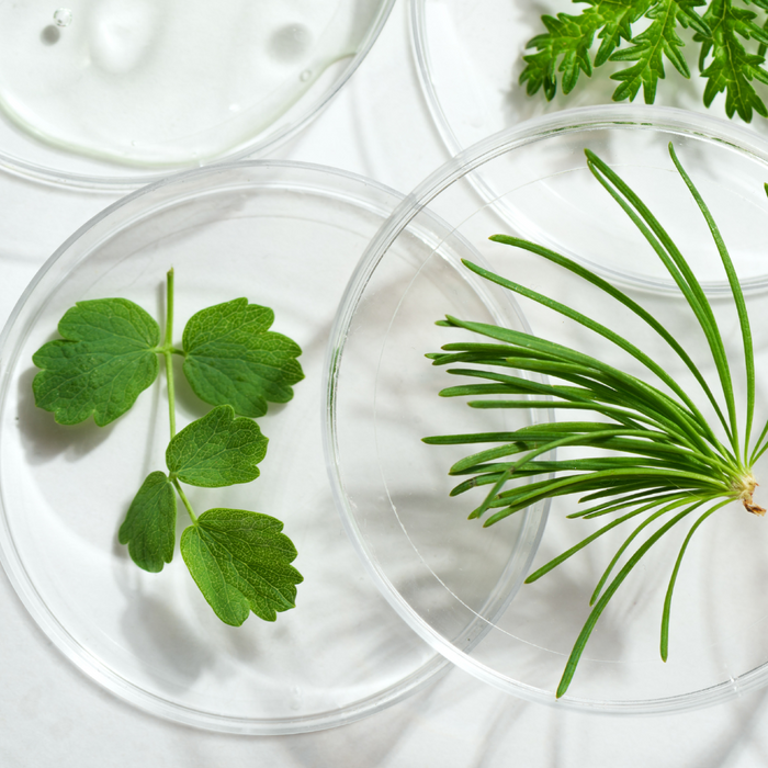 Image With content Image