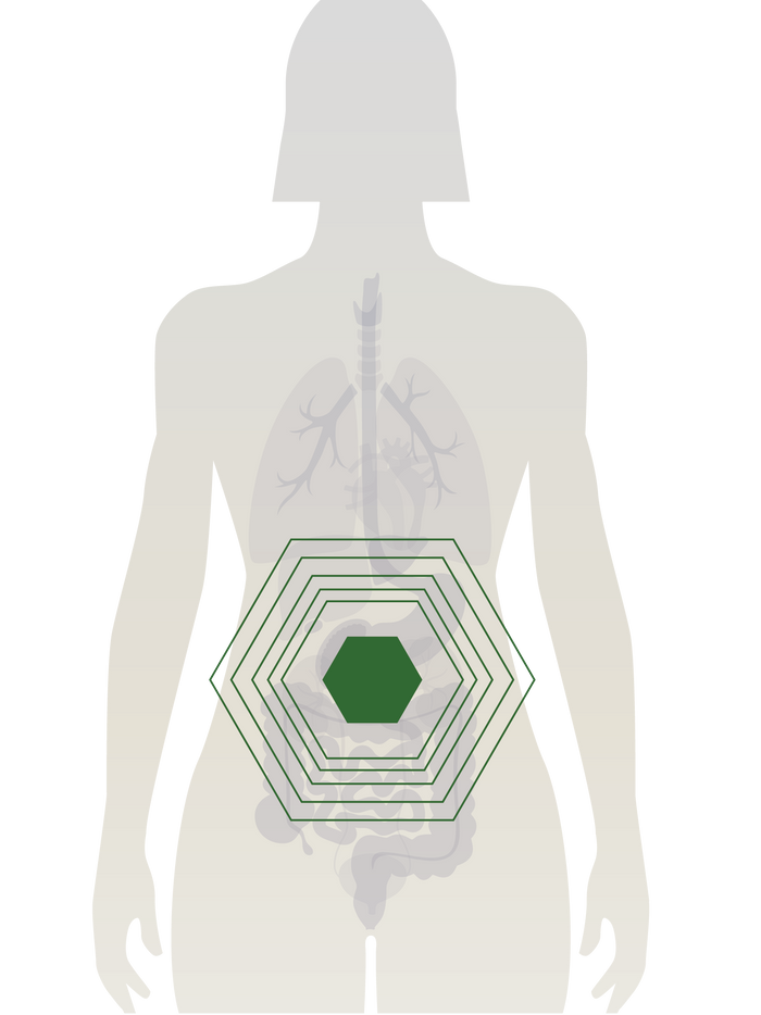 Image With content Image