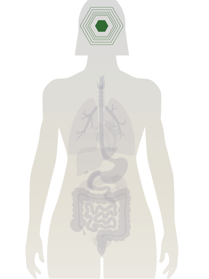 Image With content Image