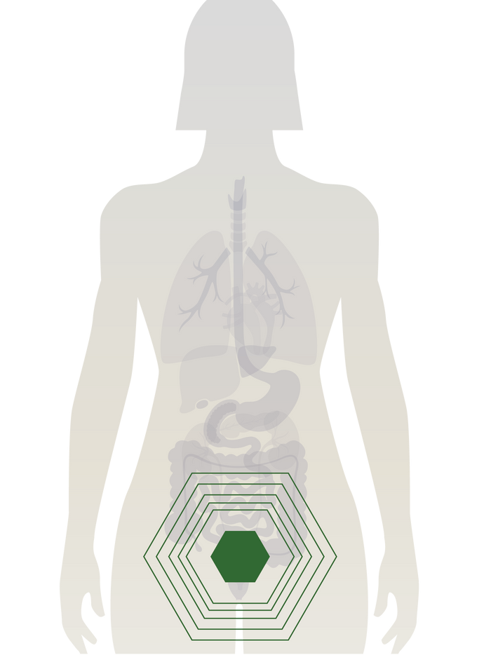 Image With content Image