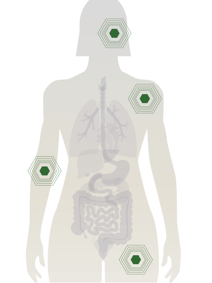 Image With content Image