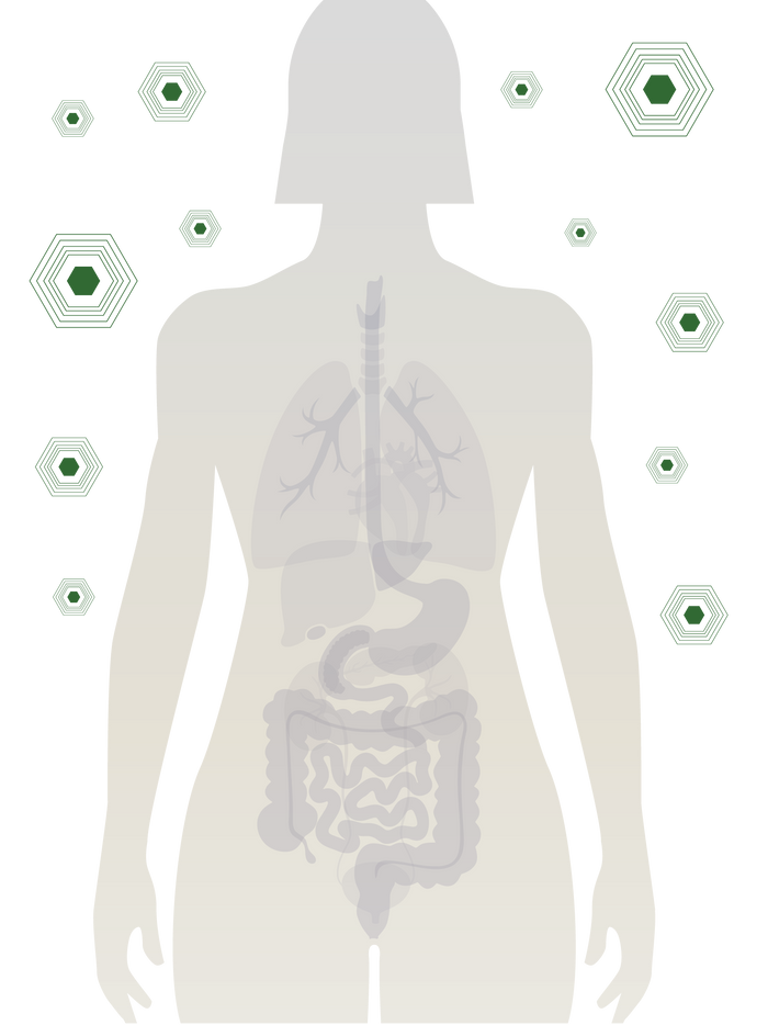 Image With content Image