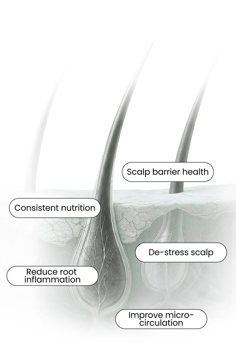 <p>Hair growth needs holistic <br>nourishment, at the roots.</p>