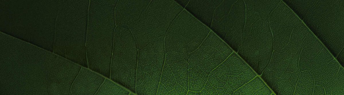 HDL Later Section Background