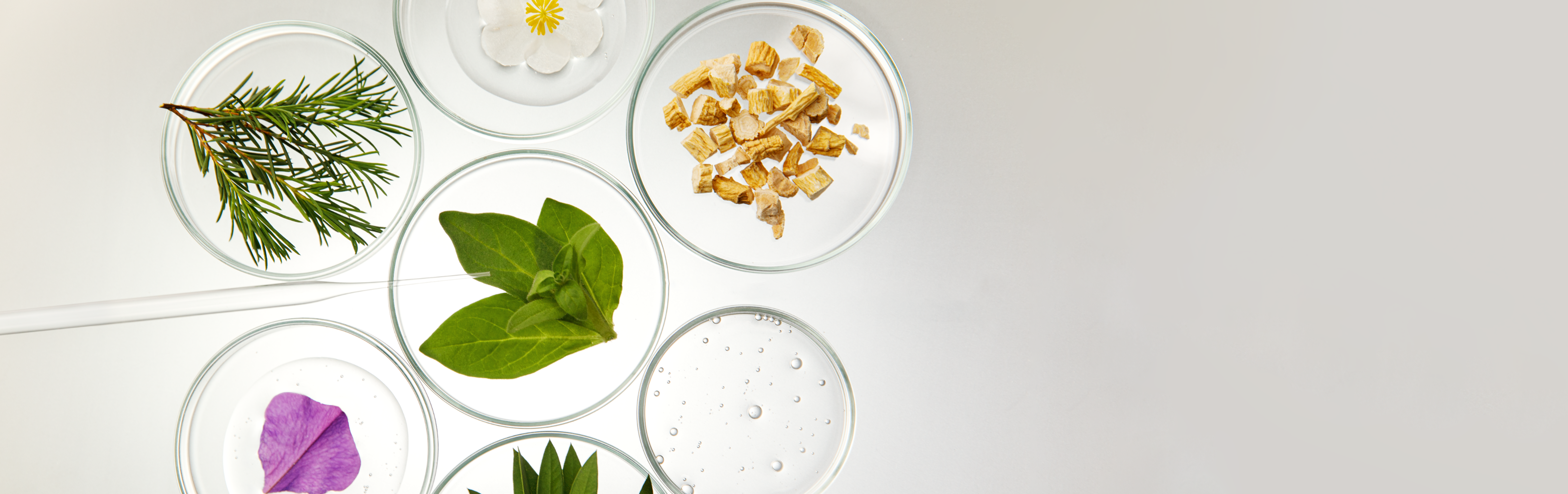 Yoga Master Class CTA Banner Image